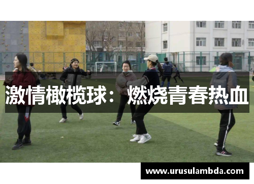 激情橄榄球：燃烧青春热血